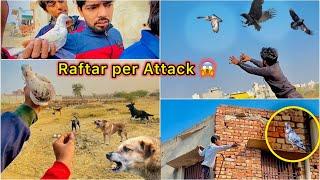 Raftar k piche Kau ( Crow ) Pad Gaya  || Jungli dog Pagal Hogye 