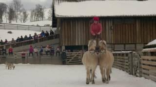 Langedrag Naturepark Christmas 4k