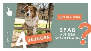 Spaziergang mit Hund spannend gestalten | Bindung stärken | Auslastung | mehr Aufmerksamkeit