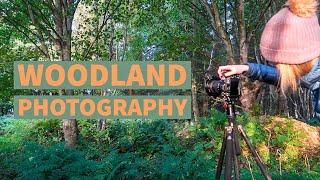 A Quest to Learn Woodland Photography  