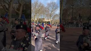 #changingoftheguard #london #lifeguards #royalguards #kingslifeguard #royalband #kingsguard #army