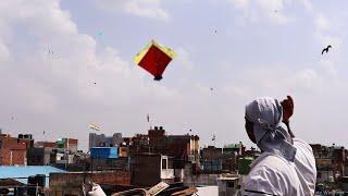 Kites Vlogs Toofani patangbaz on 15 August 2021  kite fighting  | kitelover