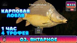 Russian Fishing 4 - Русская Рыбалка 4 - оз. Янтарное - Карповая ловля 4 Трофея - #450