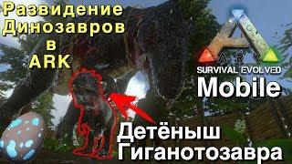 Ark survival evolved mobile | Разводим гиганотозавров | И как разводить динозавров в Ark Mobile