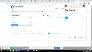 How to Add Any ERC20 Token to MetaMask - TokenMint