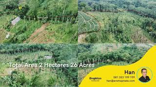 Land For Sale 2 Hectares 26 Are Baturiti Tabanan Bali