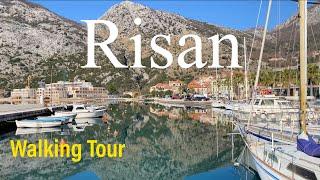 Risan, Kotor Montenegro 4K Walking Tour 2024