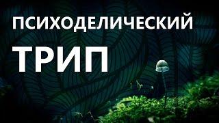 Путешествие сознания. Психоделические трипы