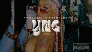 Stefflon Don - Shatta Industry (Remix YNG & @TitonyBmk )