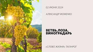 Ветвь, лоза, виноградарь / Александр Фоменко  / «Слово жизни» Таганрог