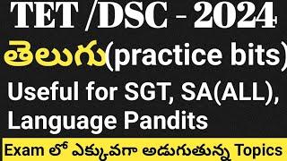 TET|DSC|Telugu grammar bits for TET|ts tet|ts dsc|ap tet|ap dsc|tet and dsc telugu grammar classes