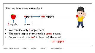 Grade 1 English Using a and an