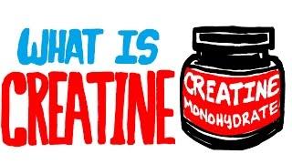 What is Creatine? Should You Be Taking This Supplement?