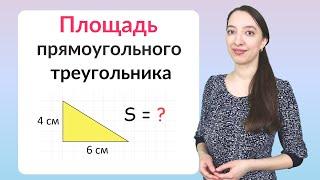 Площадь прямоугольного треугольника. Как найти площадь прямоугольного треугольника?