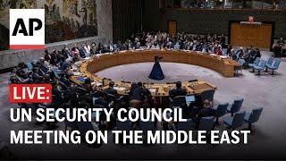 LIVE: UN Security Council meeting on the Middle East