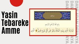 Yasin Tebareke Amme | Yasin Mülk Nebe Sureleri Dinle ve Ölmüşlerine Bağışla #Yasin #Tebareke #Amme