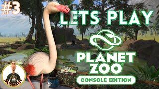 A BEAUTIFUL FLAMINGO ENCLOSURE - BUT AT WHAT COST? Planet Zoo Console Franchise Zoo