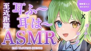 【ASMR/binaural】お耳がほかほかになる耳ふ～・耳は～特化Ear blowing sounds.【音成モカ VTuber】