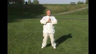 Wudang Medical Qigong Section 1