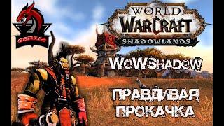 WoWShadow Правдивая прокачка №1.