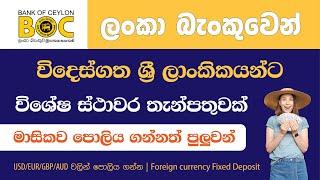 BOC Foreign Currency Fixed Deposit | 2023 February | Bank of Ceylon | BOC My Sri Lanka FD Investment