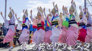 【阿波踊り2024】徳島おどりフェスタ 最初で最後！？のディズニーと阿波おどりの歴史的イベント | Awaodori in Tokushima Japan