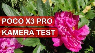 Poco X3 Pro Kamera Test