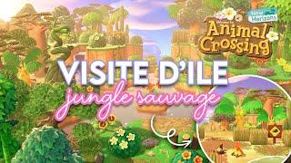 VISITE D'ÎLE AVENTURE DANS LA JUNGLE SAUVAGE  - ANIMAL CROSSING NEW HORIZONS