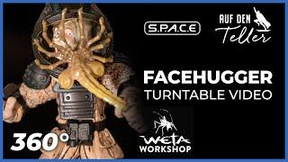 FACEHUGGER Mini Epics Vinyl Figure | Weta Workshop | Alien | S.P.A.C.E | space-figuren.de