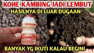 Luar biasa cara fermentasi Kohe kambing Agar Cepat hancur lebur