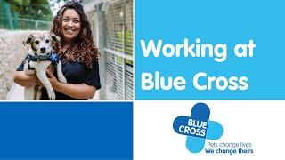 Working at Blue Cross | Blue Cross