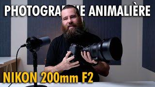 L'objectif de RÊVE pour la PHOTOGRAPHIE ANIMALIÈRE - Nikon 200mm f2 VR