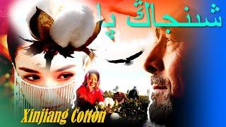 The Best Cotton in the world - Xinjiang Cotton شىنجاڭ پاختا vs lies