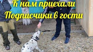 приехали подписчики /сходила в больницу/виталик кладет плитку /приготовила ужин