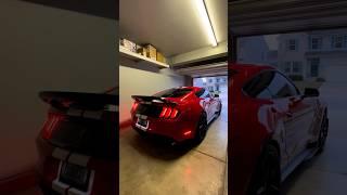 Shelby GT500 Exhaust Sound ️