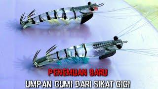 Bait Squid From Toothbrush-Angler Cumi