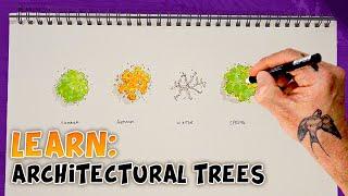 Architectural & Landscape Tree Sketching  Tutorial | Top Tip | Sketchy Brett