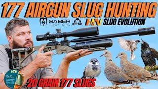 177 SLUG AIR GUN HUNTING WITH FX CROWN MK2 I LONG RANG AIR GUN HUNTING WITH HN 177 SLUGS