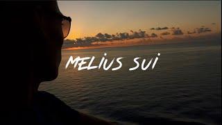 Melius sui explained…