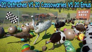 20 Ostriches VS 20 Cassowaries VS 20 Emus Animals Birds Race in Planet Zoo | Animal Animation