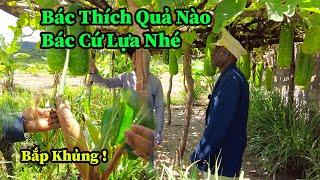 Hùng Kaka II Các Cháu Nhớ Nhân Giống Loại Ngô Việt Nam Này Nhé .