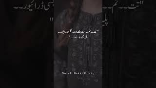 #hadia novel#urdu novel#frp #hindi novel #novels hub