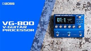 BOSS VG-800 V-Guitar Processor | Take Your Performances Beyond Reality