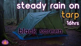 [Black Screen] Steady Rain on Tarp No Thunder | Rain Ambience | Rain Sounds for Sleeping