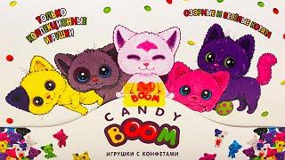 ВСЕ КОЛЛЕКЦИИ ИГРУШЕК от CANDY BOOM