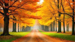 Relaxing Autumn Music and Beautiful Fall Leaf Colors - Relaxing Piano Music for sleep, Stress Relief