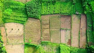 Agriculture Stock Footage - Agriculture Free Stock Videos - Agriculture No Copyright Videos