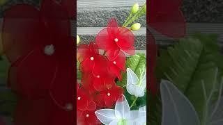 Lily Combi Orchid || Next on Casella Craft Channel || Short video