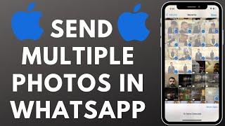 How to Send Multiple Photos on WhatsApp in iPhone (2023)