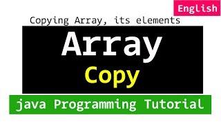 Copying Array and its Elements | Java Programming